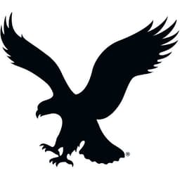 American Eagle logo